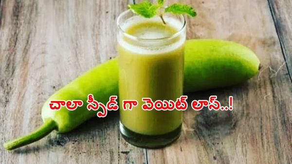 సొరకాయ కొత్తిమీర జ్యూస్.. ఇలా చేసుకుని తాగితే .. స్పీడ్ గా వెయిట్ లాస్.. 