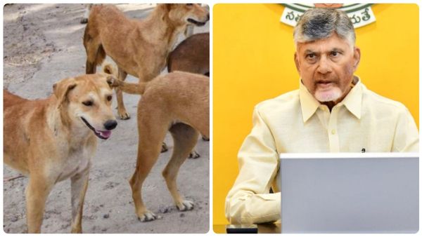 సుప్రీం ఎఫెక్ట్..! ఏపీలో వీధి కుక్కలపై సర్కార్ కీలక ఆదేశాలు..!