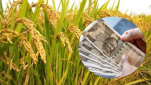 24 గంటల్లో రైతుల ఖాతాల్లో నగదు.. ప్రభుత్వం ప్రకటన..!!