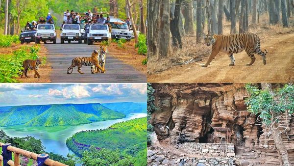 'జంగిల్ సఫారీ' కి వెళ్దామా.. ? హైదరాబాద్ కు దగ్గరలోనే..!