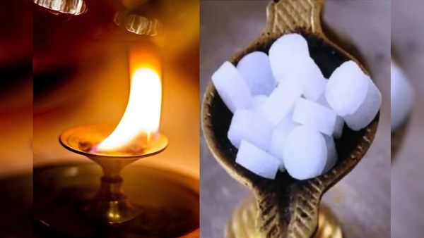 ఇంట్లో ఈ ఒక్కటి ఉంటే ఎలాంటి వాస్తుదోషమైనా పరార్!