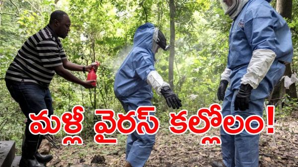 ప్రపంచానికి పెను ప్రమాదం!: వ్యాపిస్తోన్న 60 ఏళ్ల నాటి డేంజరస్ వైరస్!!