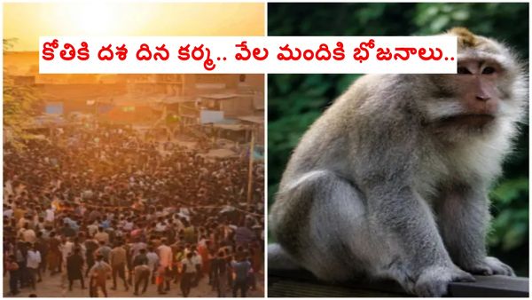 కోతి అంత్యక్రియలకు 4 వేల మంది హాజరు.. హనుమాన్ అవతారంగా భావించి.. ఎక్కడంటే..?