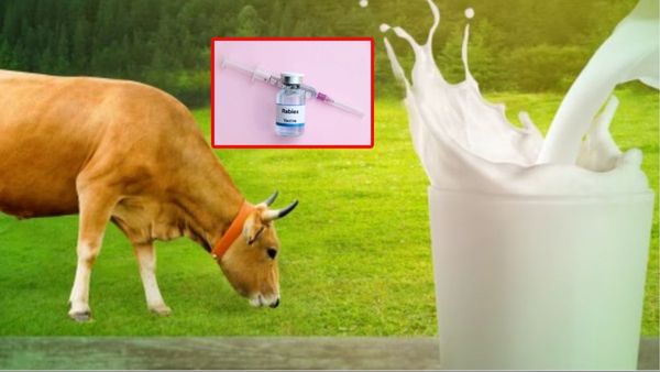 ఎంత పని చేశార్రా.. 