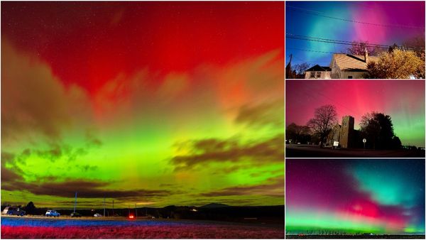 అంబరాన వీధిలో.. ఎన్ని వేల రంగులో..!!