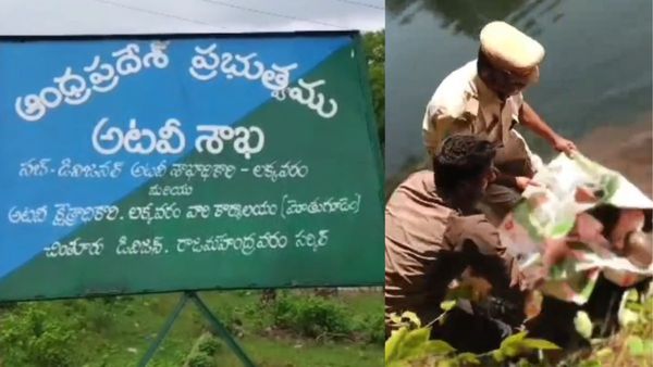 షాక్: 8 గోనె సంచుల్లో 248 తాబేళ్లు..!! (వీడియో)