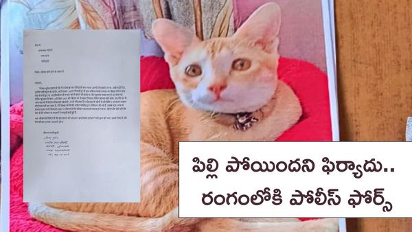 Viral: పిల్లి పోయిందని ఫిర్యాదు.. రంగంలోకి పోలీస్ ఫోర్స్