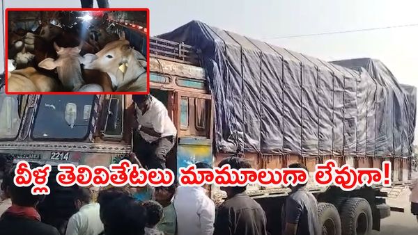 'పుష్ప' సినిమా స్టైల్‌లో ఆవుల స్మగ్లింగ్.. నివ్వెరపోయిన పోలీసులు! (వీడియో)