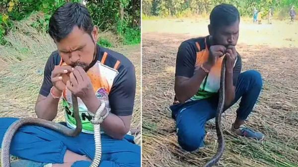 పాముకు CPR చేశాడు- ఏం గుండె రా వీడిది