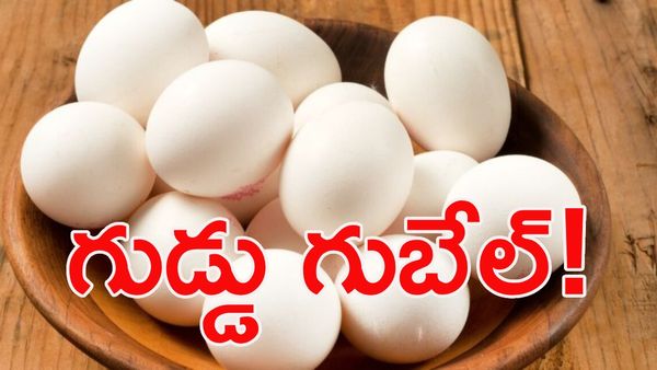 కోడి ‘గుడ్డు’ పెడుతోంది.. జేబుకు ‘చిల్లు’ పడుతోంది!