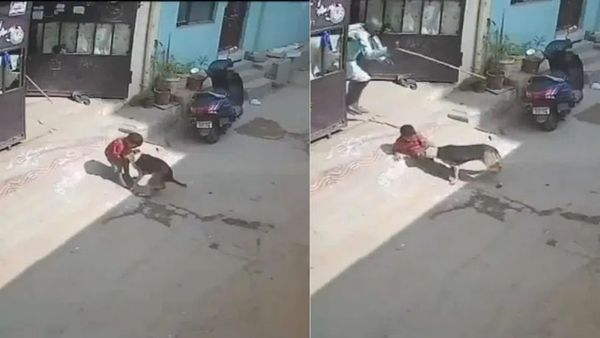 వైరల్‌ వీడియో: రెండేళ్ల బాలుడిపై వీధి కుక్క దాడి..