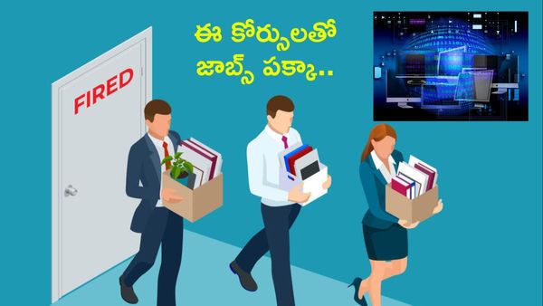 2025లో మీ ఐటీ జాబ్ పోయిందా.. 2026 లో ఇలా చేస్తే మీకు జాబ్ పక్కా