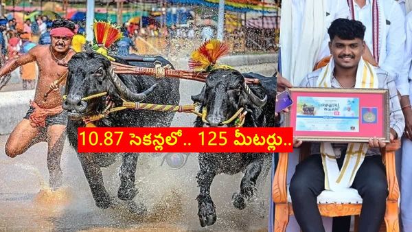 కంబళ పోటీల్లో సరికొత్త చరిత్ర.. 10.87 సెకన్లలో..