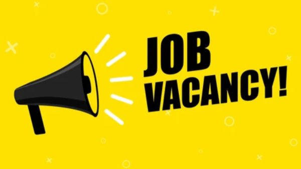 ఇండియన్ ఎయిర్‌ఫోర్స్‌ బంపర్ ఆఫర్.. భారీ జీతంతో !!