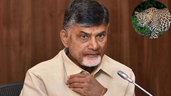 సీఎం చంద్రబాబు స్వగ్రామంలో చిరుత కలకలం..