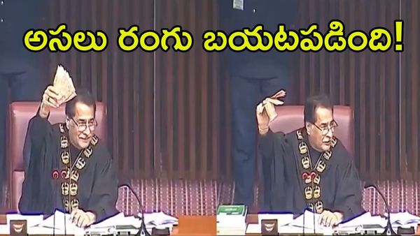 పార్లమెంట్‌లో దొంగలున్నారు!.. ఈ వీడియో చూడాల్సిందే!!