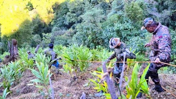 షాకింగ్.. భారత్‌లోకి చొరబడ్డ పాకిస్థానీ మహిళ.. ఎందుకో తెలుసా..?