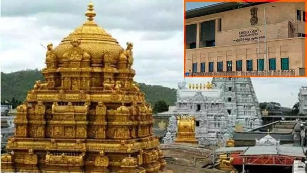  పూర్తిగా TTD బోర్డుదే బాధ్యత - హైకోర్టు కీలక ఆదేశాలు..!!