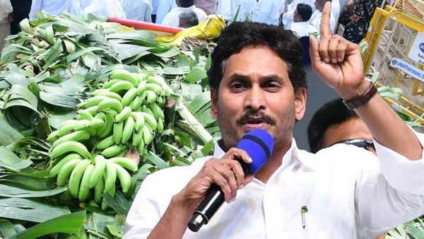 Fact Check: కిలో అరటిపండ్లకు 50 పైసలేనంటూ జగన్ ట్వీట్.. వాస్తవాలివే!