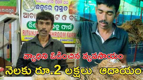 నొప్పులు నాటిన ఆశలు.. రితాంజలి మష్రూమ్ ఫామ్ విజయగాథ