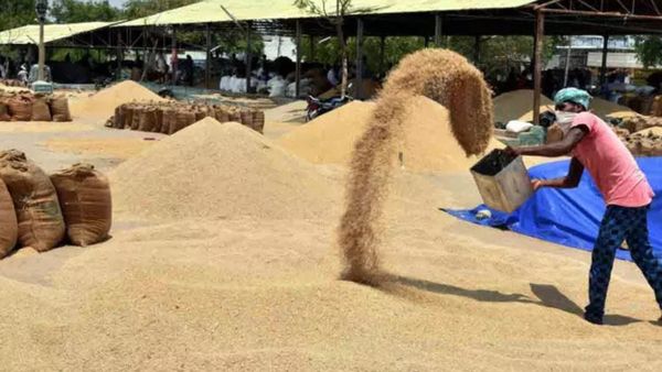 సంక్రాంతి కంటే ముందే.. రైతులకు రేవంత్ సర్కార్ అలెర్ట్!