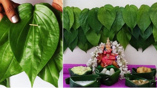 ఈ సంక్రాంతికి గుమ్మానికి తమలపాకులతో తోరణం కట్టి చూడండి: ఎన్నో వాస్తు ప్రయోజనాలు