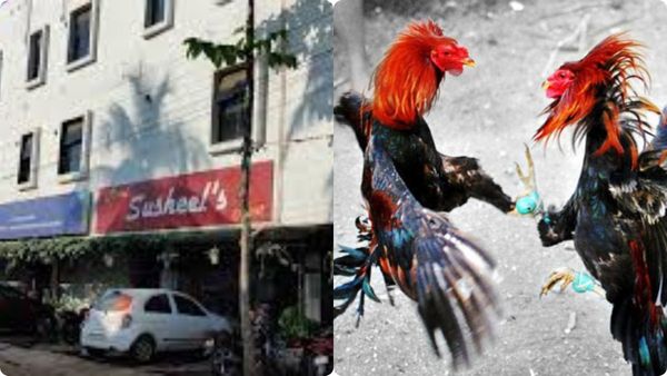 గోదావరి జిల్లాల్లో సంక్రాంతి జోష్..! 3 రోజుల హోటల్ స్టే కు లక్ష ?