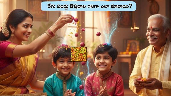 సంక్రాంతికి భోగి పండ్లు.. మనం తినే రేగు పండ్లు. ఔషధాల గనిగా ఎలా మారాయి?