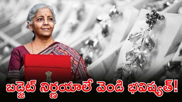 Budget 2026: గ్రీన్ ఎనర్జీకి ఊతమిస్తే వెండికి డిమాండ్?