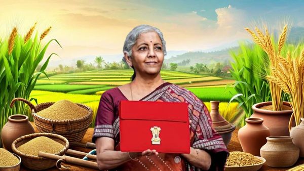 Union Budget 2026 : ఈ సారి వ్యవసాయ బడ్జెట్ ఎంత?