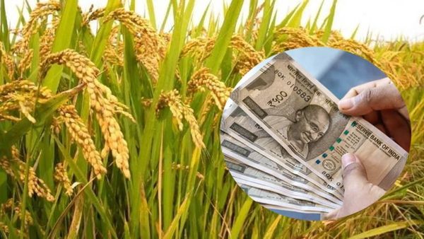 రైతులకు ఏపీ ప్రభుత్వం శుభవార్త - 24 గంటల్లో నిధుల జమ..!!