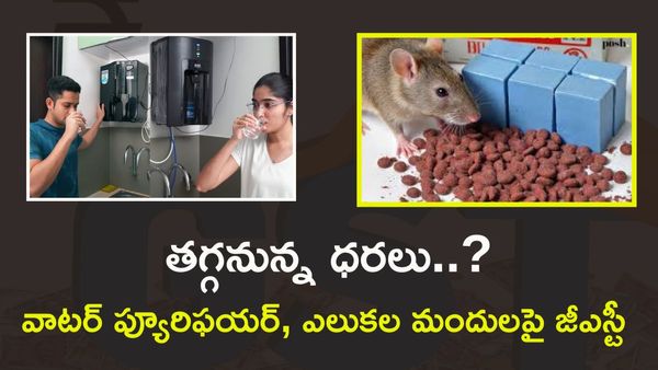 గుడ్ న్యూస్: వాటర్ ప్యూరిఫయర్‌, ఎలుకల మందుపై GST తగ్గింపు?