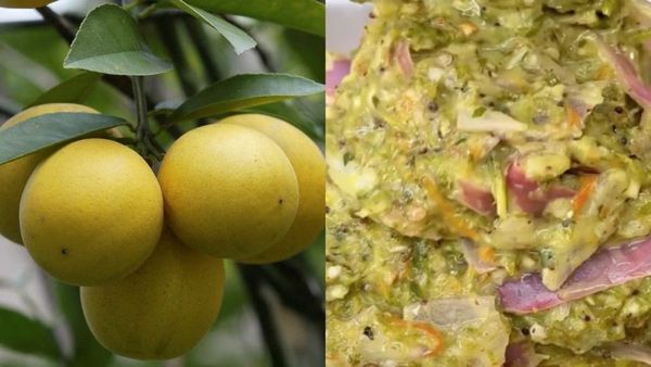 నిమ్మకాయ రోటి పచ్చడి.. ఇలా చేస్తే టేస్ట్ నెక్స్ట్ లెవెల్