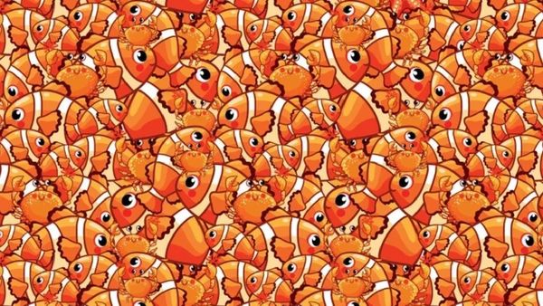 ఈ ఫోటోలో 