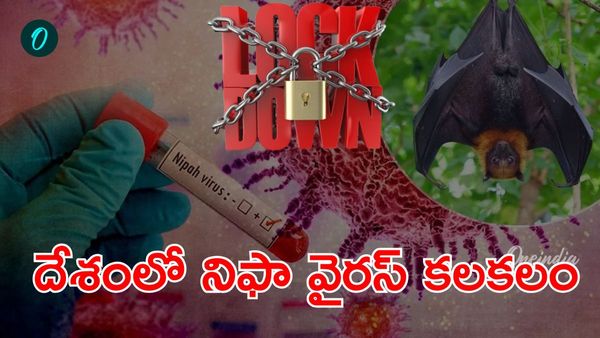 Nipah virus: లాక్ డౌన్ పై WHO కీలక ప్రకటన