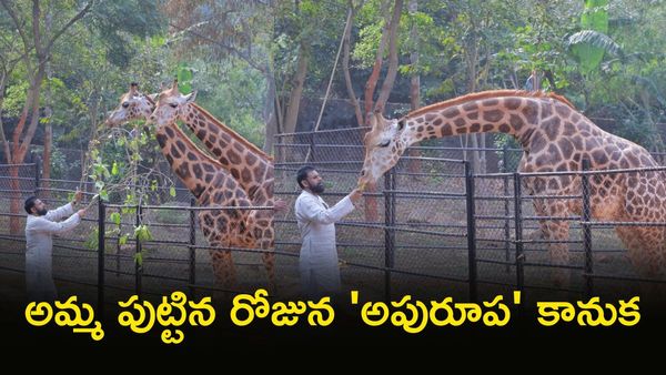 Pawan Kalyan: అమ్మ మురిసేలా.. కార్యకర్త గర్వించేలా