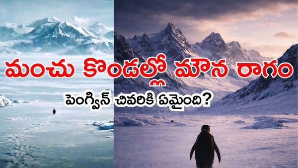Penguin ప్రయాణం వెనక స్టోరీ? చివరికి ఏమైంది?