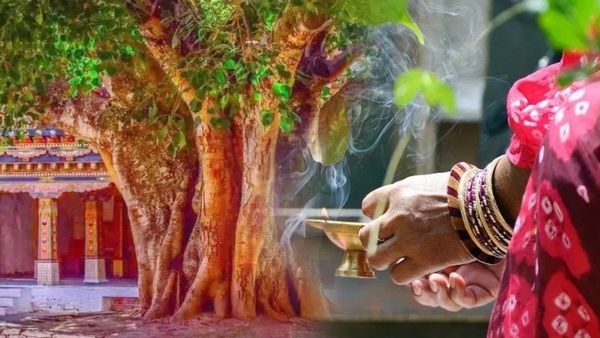 రావి చెట్టుకు కాసిన్ని నీళ్లు పోసినా చాలు..