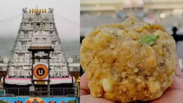 తిరుమల కల్తీ నెయ్యి వ్యవహారంలో వెలుగులోకి సంచలన విషయాలు..