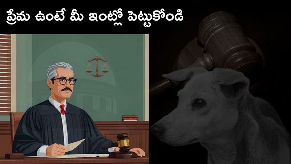 కుక్క కాటుకు సుప్రీం దెబ్బ.. నష్ట పరిహారం చెల్లించాల్సిందే