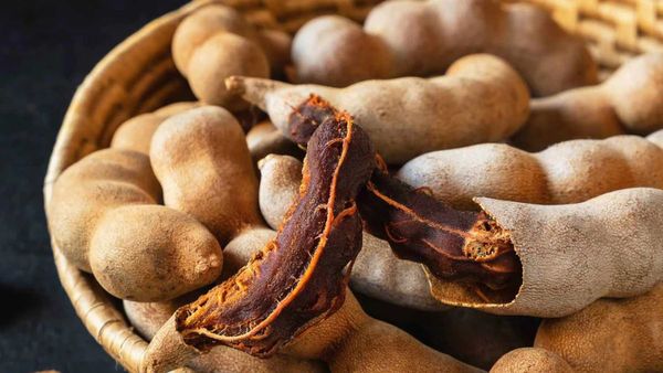 చలికాలంలో చింతపండు తింటే ప్రమాదమా?