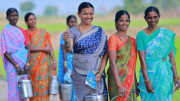 త్వరలోనే మరో క్షీర సంక్రాంతి. అక్కడ మహిళల జీవితాలలో కాంతి!