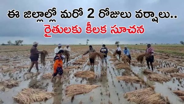 పిడుగులు పడే ఛాన్స్.. బలహీన పడుతున్న అల్పపీడనం