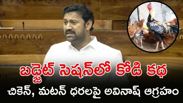 నాటు కోడి కిలో రూ.500, మటన్‌ రూ.900: YS Avinash Reddy