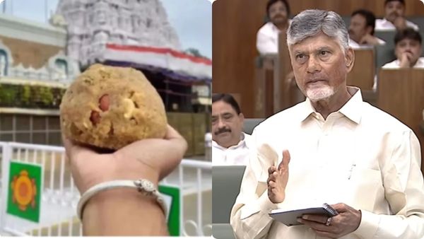 ఆ రిపోర్ట్ వల్లే జంతుకొవ్వుందని చెప్పా-చంద్రబాబు-2022 నుంచే కల్తీ ?