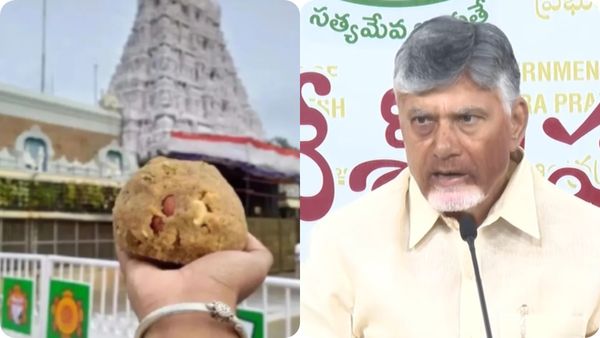 నెయ్యి వివాదంపై చంద్రబాబు కీలక నిర్ణయం-సిట్ రిపోర్ట్ పై కమిటీ..!