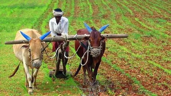 రైతులకు భారీ హోలీ గిఫ్ట్.. ఖాతాల్లోకి రూ. 10 వేల కోట్లు..