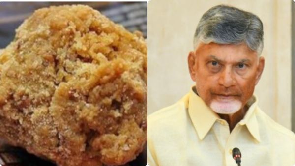 మహాపరాధం-కల్తీ గాళ్లను వదలొద్దు-సీఎంకు మఠాధిపతి లేఖ..!