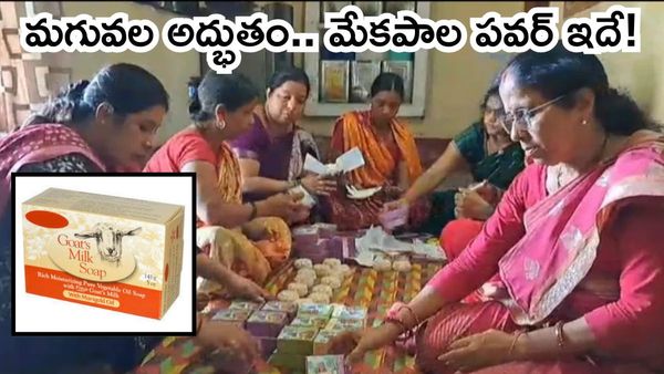 చర్మ సౌందర్యానికి Goat Milk Soap, గిరాకీ మామూలుగా లేదు!