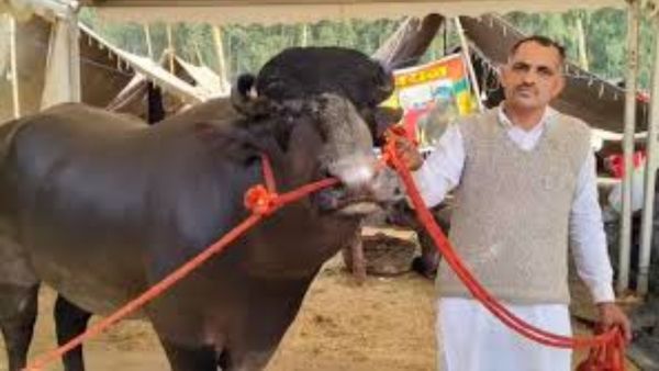 కుబేర్ దున్న ఖరీదు 21 కోట్లు.. దాని ప్రత్యేకతలు ఏంటో తెలుసా!